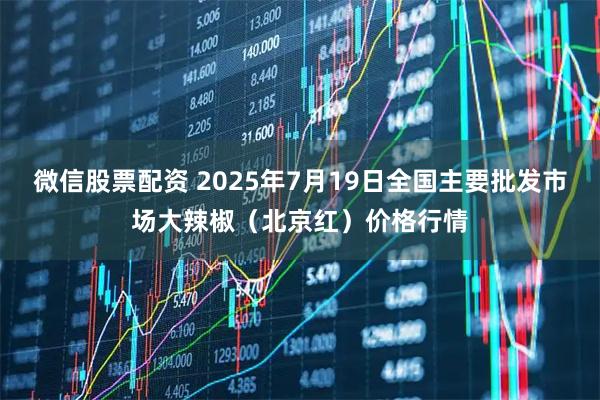 微信股票配资 2025年7月19日全国主要批发市场大辣椒（北京红）价格行情