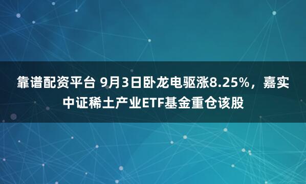 靠谱配资平台 9月3日卧龙电驱涨8.25%，嘉实中证稀土产业ETF基金重仓该股